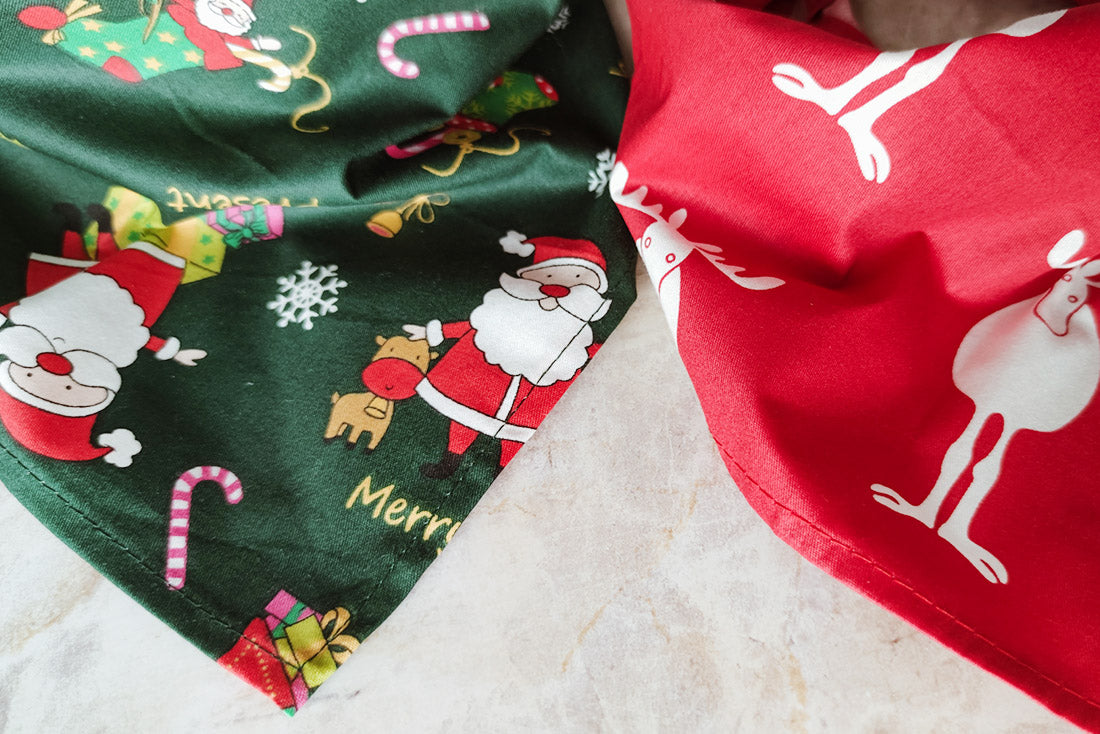 Bandana Rudolph