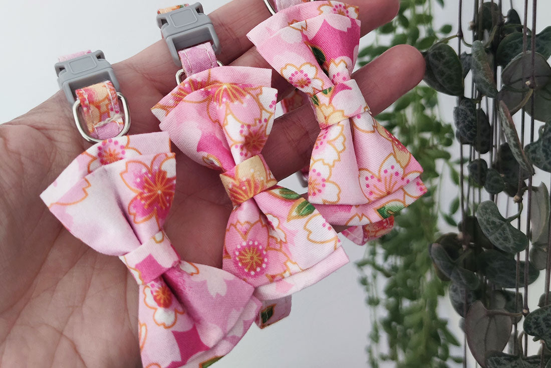 Coleira Floral Pink Mini