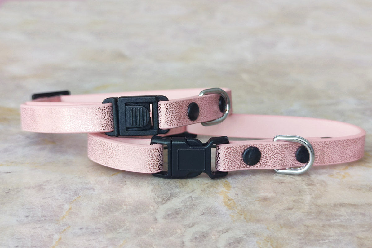Coleira Sparkle Rose Mini