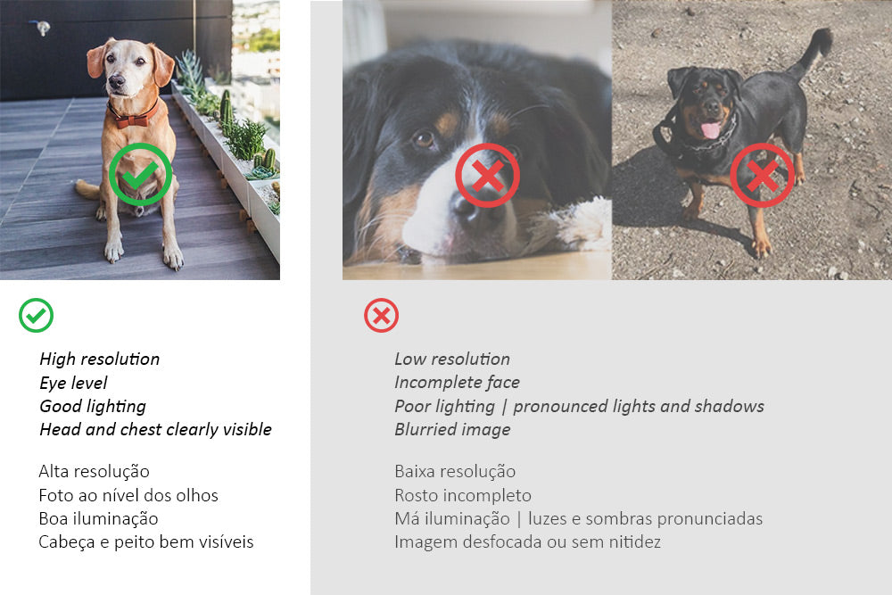 Retrato | Memorial personalizado de animal