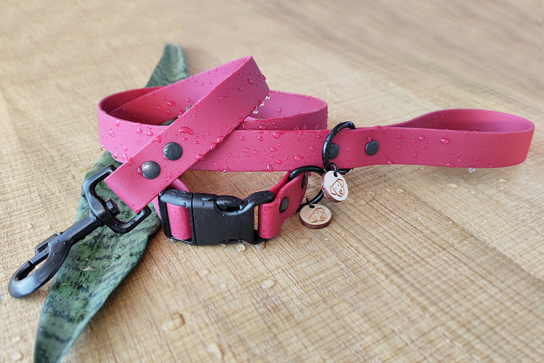 Coleira Ruby