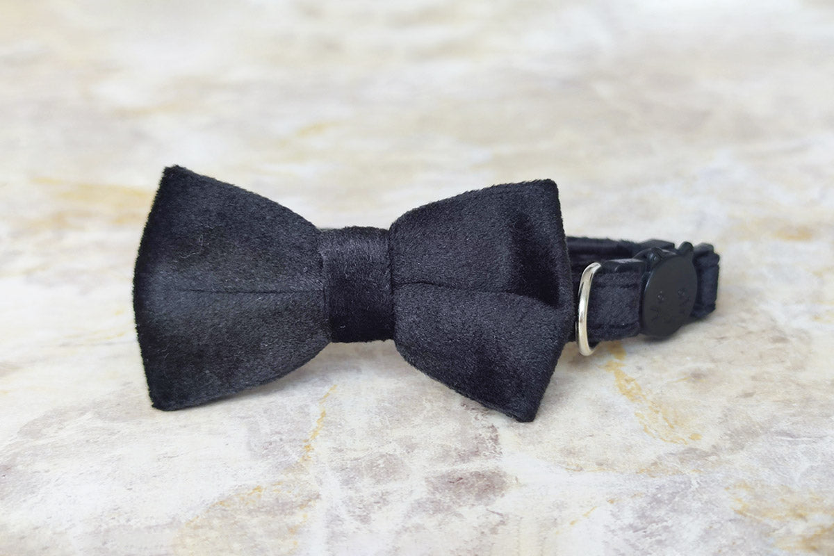 Coleira Velvet Black Mini